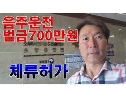 [64회] F4비자 외국인음주운전(사고) 벌금700만원 / 사범심사 체류허가